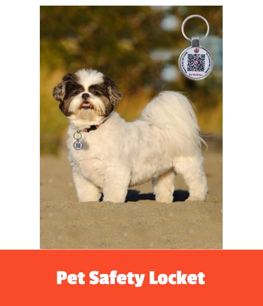 Best Pet Safety Locket Tag Provider 