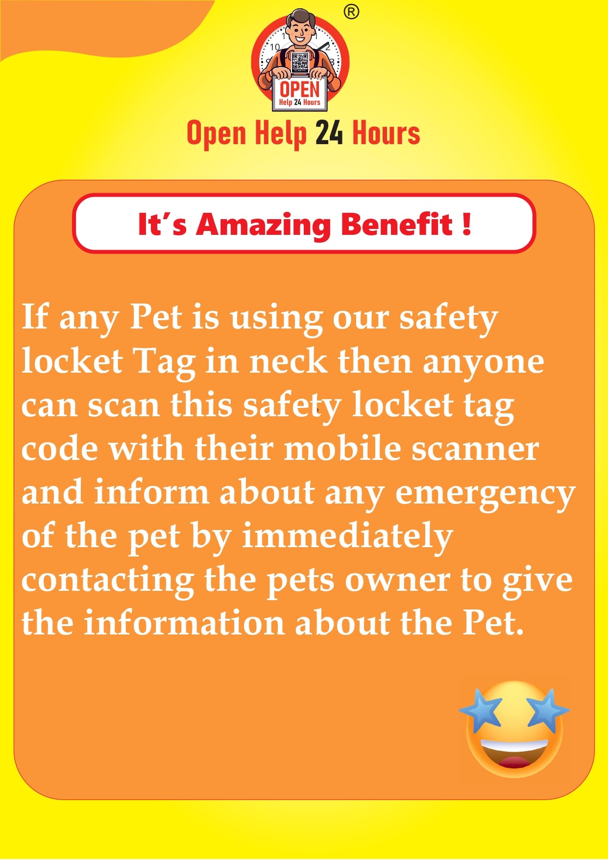 Best Pet Safety Locket